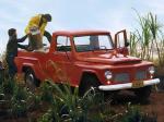 Ford F-75 Pickup 1972 года